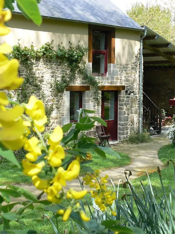 Chambres D'Hotes Du Vault Picot Bed & Breakfast La Chapelle-aux-Filzmeens
