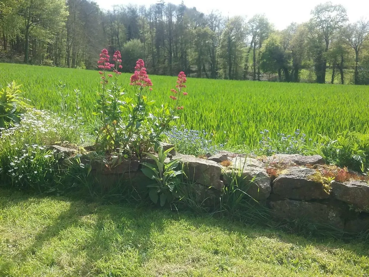 Chambres D'Hotes Du Vault Picot Bed & Breakfast La Chapelle-aux-Filzmeens